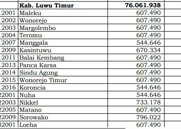 Dana Desa Tiap Desa 2024 di Luwu Timur, Sulsel: 25 Desa 1 Miliar