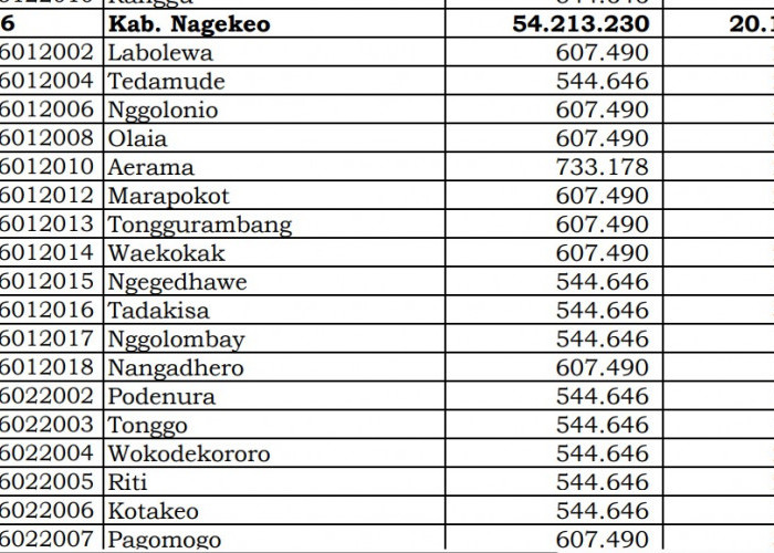 Rincian Dana Desa 2024 Nagekeo, NTT! Cek Jawabannya di Sini