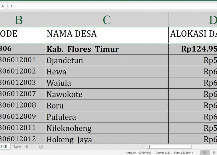 Rincian Dana Desa 2025 Tiap Desa di Flores Timur Nusa Tenggara Timur, Total Rp176,5 Miliar: Ini Desa Terbesar