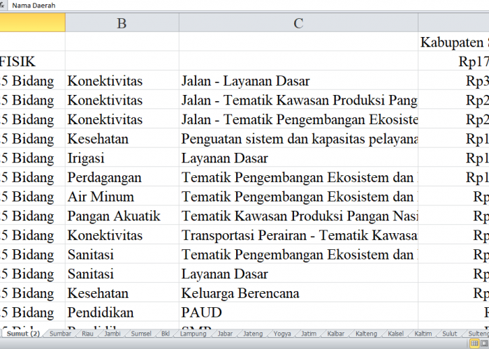 Rincian Pagu Dana DAK Fisik 2025 untuk Simalungun, Tapanuli Selatan, Tapanuli Tengah, dan Tapanuli Utara