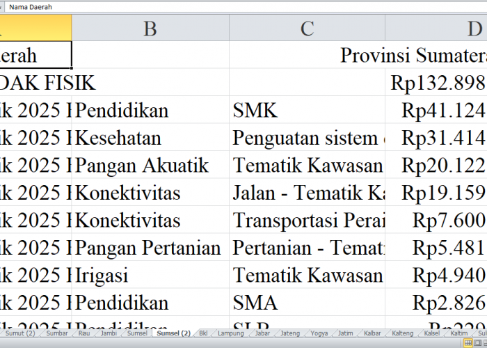 Rincian Pagu Dana DAK Fisik 2025 untuk Provinsi Sumatera Selatan, Lahat, Musi Banyuasin, dan Musi Rawas 