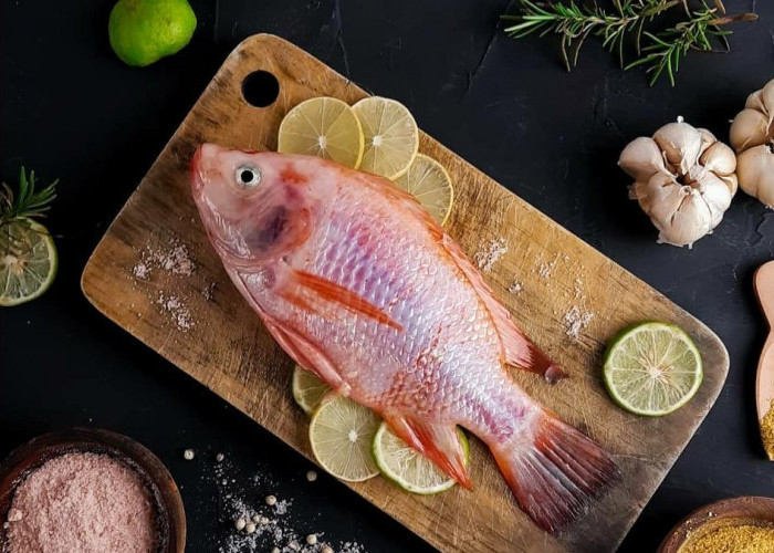 7 Manfaat Mengonsumsi Ikan Nila yang Terkenal Sebagai Sumber Protein Berkualitas Tinggi