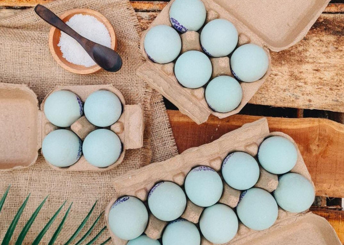 8 Manfaat Telur Bebek Bagi Kesehatan, Dapat Mendukung Kesehatan Mental