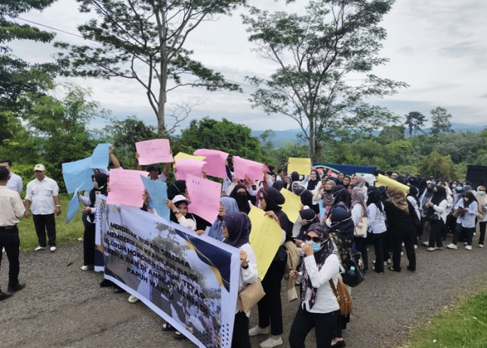 Gelar Aksi di Kantor Bupati, Ratusan Non-ASN Seluma Tuntut Keadilan Status Kerja