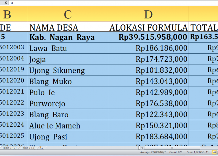 Alokasi Dana Desa 2025 untuk Nagan Raya Provinsi Aceh: Rincian Rp163,5 Miliar dan Desa Penerima Terbesar