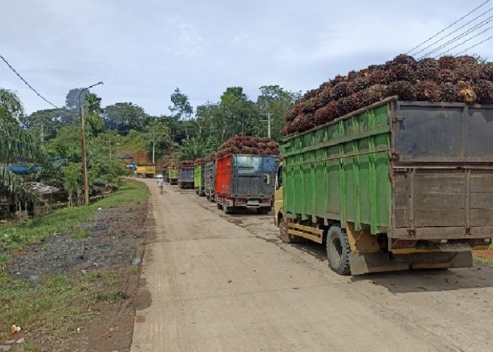 Ini Jadwal Buka dan Tutup 4 Pabrik Sawit di Bengkulu Tengah 