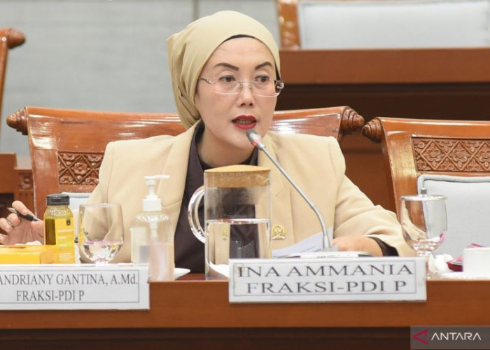 Selly Andriany Gantina Desak Kemenag dan Polisi Tindak Jasa Nikah Siri di TikTok