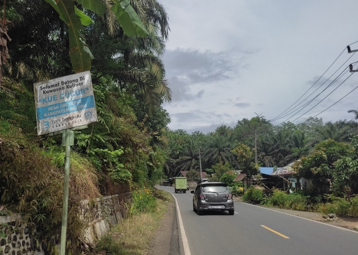 Blank Spot ! di Desa Kabupaten Ini, Masih Belum Bisa Akses Internet
