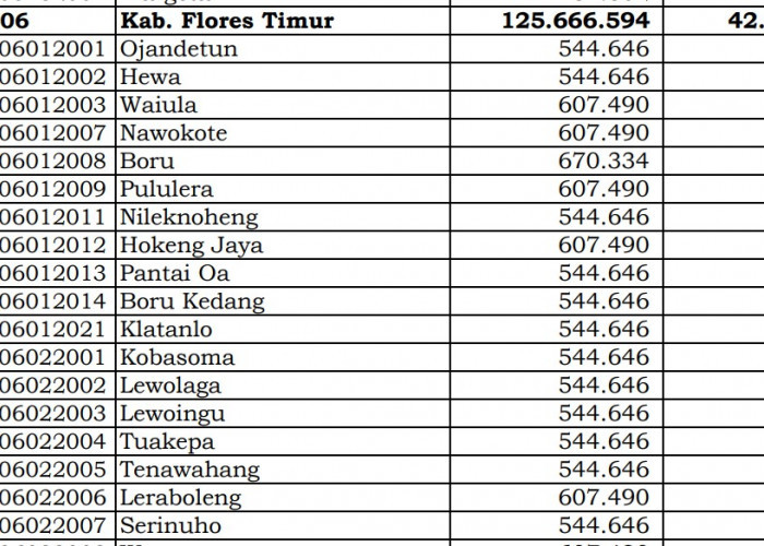 Rincian Dana Desa 2024 Flores Timur, NTT: Cek Jawabannya di Sini