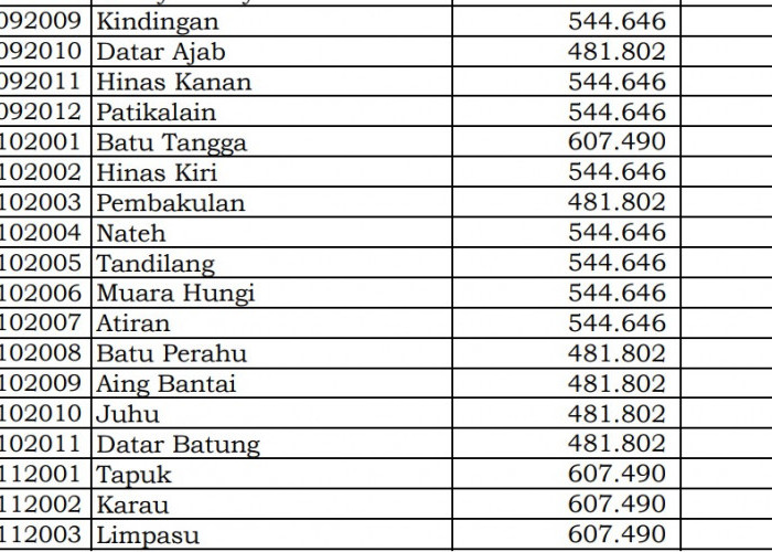Kalimantan Selatan! Simak Rincian Dana Desa 2024 Hulu Sungai Tengah 2 di Sini 