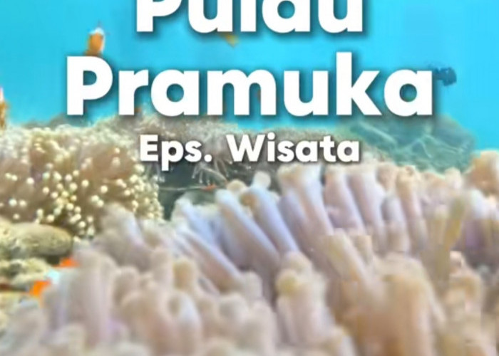Destinasi Wisata Air di Pulau Pramuka Bisa Jadi Pengalaman Snorkeling yang Seru, Lokasinya di Sini