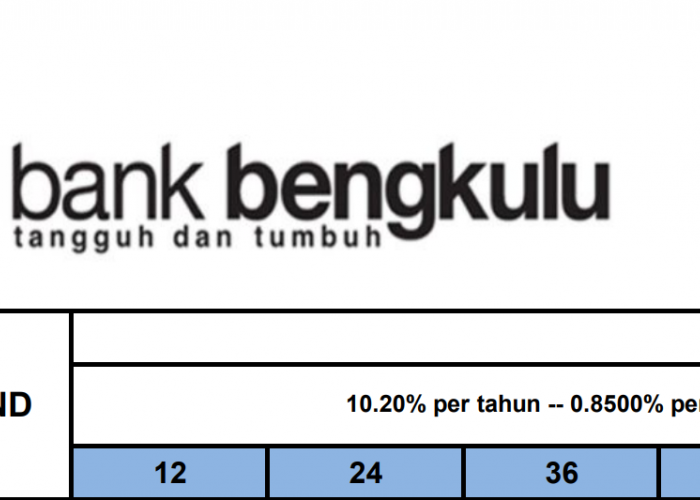 Untungnya PNS, Bisa Pinjam Rp330 Juta – Rp350 Juta Tenor 3 Tahun di Bank Bengkulu: Ini Angsurannya