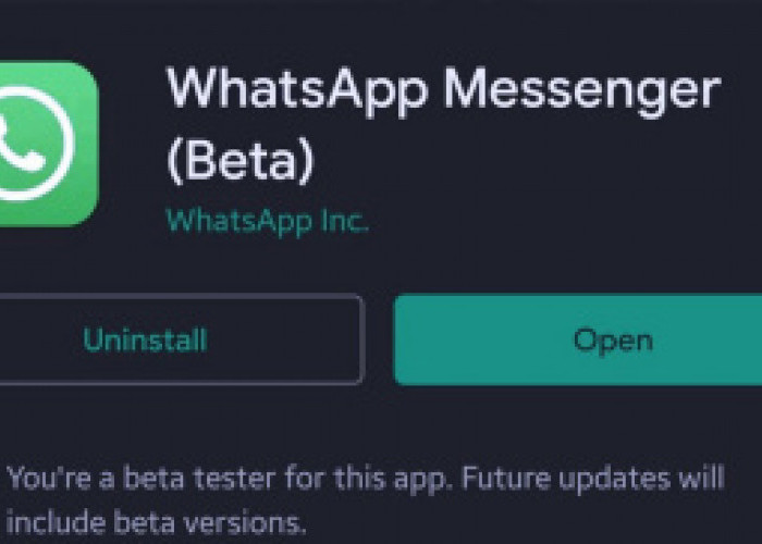 Keren, WhatsApp Versi Beta Hadirkan Fitur Terbaru, Bisa Share Foto dan Video Kualitas HD