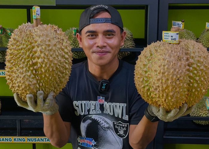 7 Tips Jitu Memilih Durian Berkualitas yang Lezat dan Manis di Bengkulu