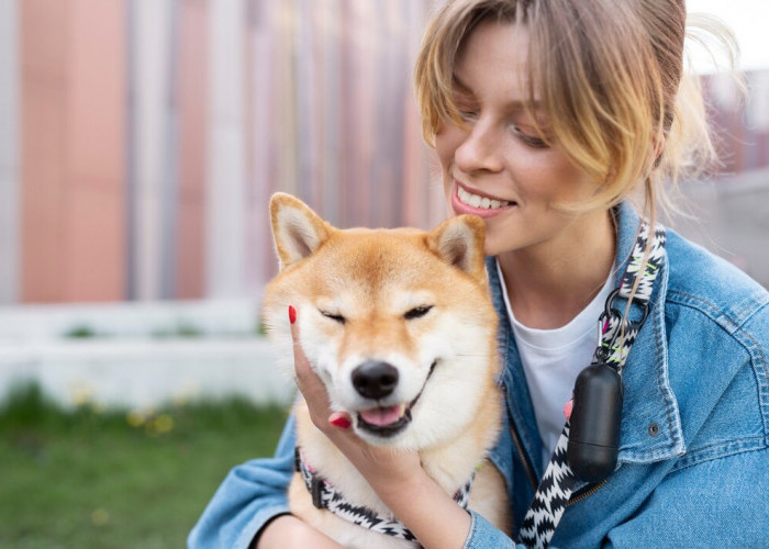 Meski Menggemaskan, Ternyata Ini Bahaya Bulu Anjing Peliharaan bagi Wanita