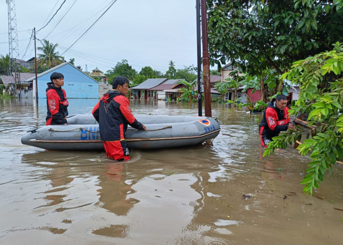 Hujan Deras Semalam, Banjir Rendam Kota Bengkulu hingga Setinggi Lutut, Ini Titik Terdampak