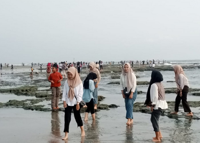 Air Laut Pantai Berkas Surut, Ini Penyebabnya Menurut Ahli dari BMKG Stasiun Fatmawati Bengkulu