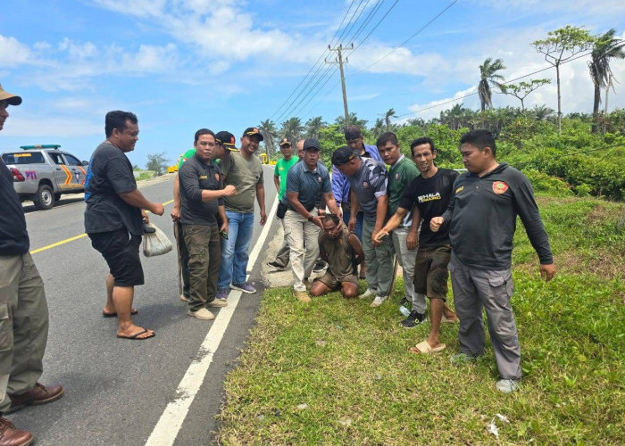 Bikin Resah! Satpol PP Mukomuko Amankan ODGJ usai Rusak Mobil Dinas dan Mobil Pribadi