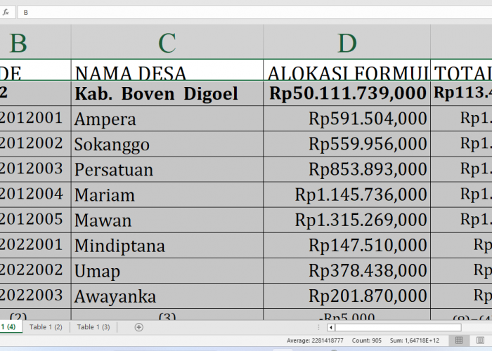 Dana Desa 2025 Boven Digoel Provinsi Papua Selatan Capai Rp113,4 Miliar: Ini Rincian per Desa dan Alokasi Terb