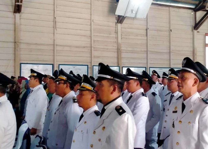 Kades Bukit Harapan Tiba-Tiba Mundur, Ini Alasan dan Pengganti Barunya