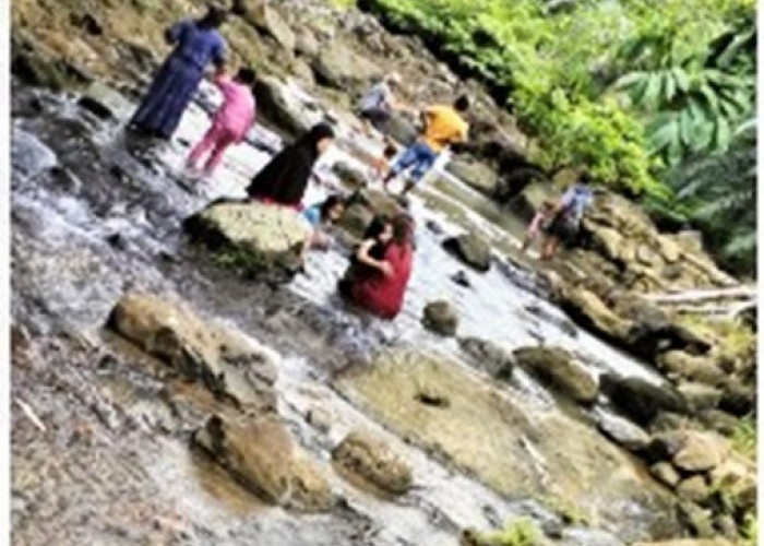 Ingin Berwisata Air Terjun, Kamu Bisa Mampir ke Desa Bukit, Kabupaten Bengkulu Tengah