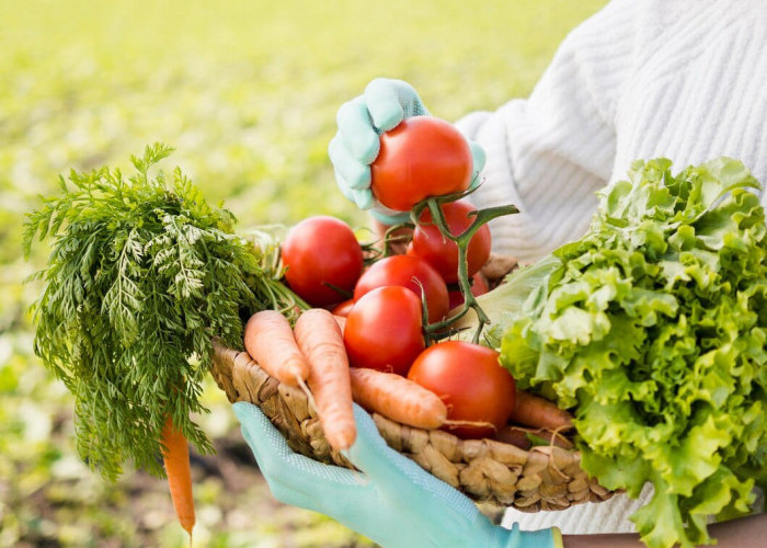 Kenali 4 Fakta Makanan Organik, Sebelum Menjadikannya Pola Hidup Sehat 