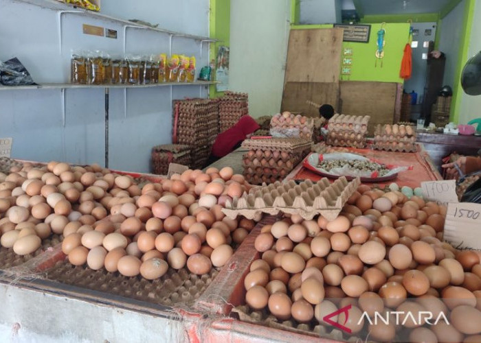 KUR Bengkulu Tembus Rp2,62 Triliun, Tinggal Kejar Rp1,21 Triliun dari Target 2026