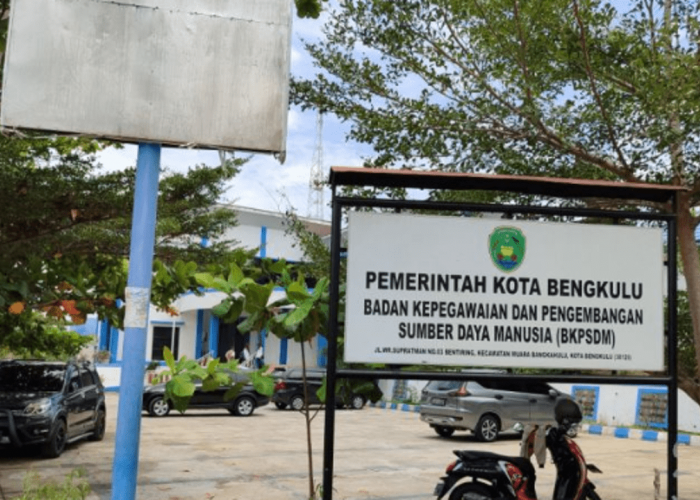 Puluhan Formasi CPNS di Bengkulu Kurang Peminat, Ini Daftarnya