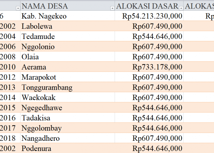 Tabel Rincian Dana Desa 2024 Kabupaten Nagekeo, NTT: Ini Lengkapnya