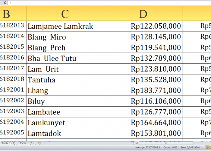 Desa Berawalan L-W! Rp422,5 Miliar Dana Desa Mengalir ke Aceh Besar Provinsi Aceh, Cek Rincian di Sini