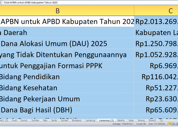 Proyek Fisik Lampung Timur dalam APBD 2025: Alokasi Dana dari APBN untuk Pembangunan Infrastruktur