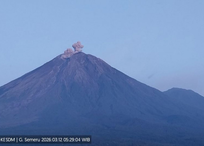 Semeru Kembali Erupsi, Kolom Abu Membumbung Hingga 600 Meter dari Puncak