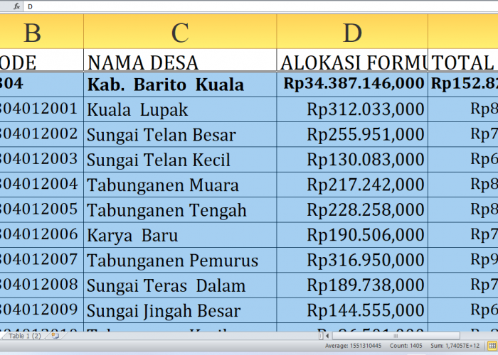 Dana Desa Tahun 2025 Banjir ke Barito Kuala Provinsi Kalimantan Selatan! Desa Mana yang Paling Beruntung?