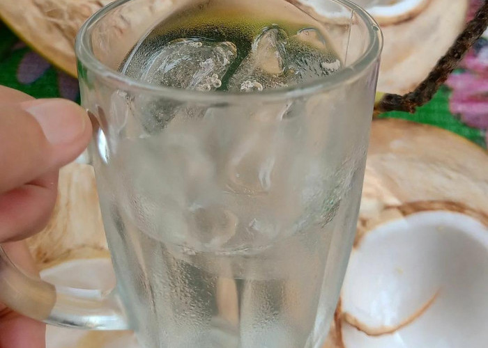 6 Manfaat Luar Biasa Minum Air Kelapa Muda Saat Buka Puasa