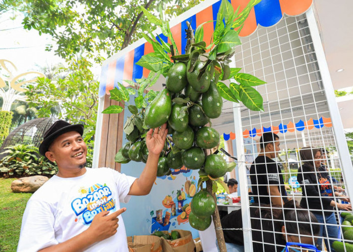 Berkat Program Pemberdayaan BRI Klasterku Hidupku, Petani Ini Berhasil Kembangkan Budidaya Alpukat