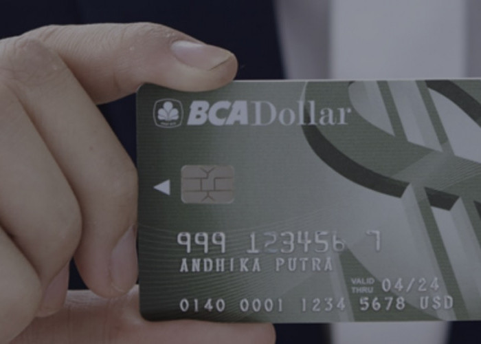 BCA Dollar Kemudahan Menabung Sekaligus Berinvestasi, Tersedia 2 Pilihan Mata Uang Asing