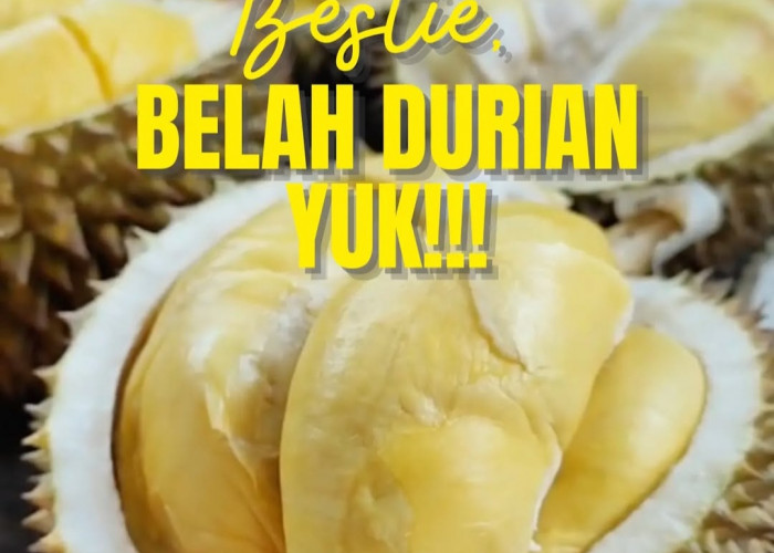 Mengenal Varietas Durian dari yang Manis hingga Pahit dengan Aroma Khas, Salah Satunya Ada di Bengkulu!