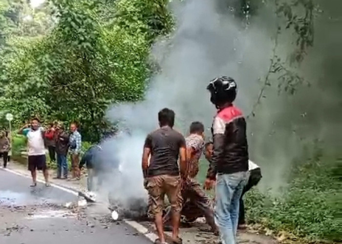 Motor VS Avanza Adu Kambing di Jalan Lintas Gunung Bengkulu - Kepahiang, Satu Kendaraan Terbakar