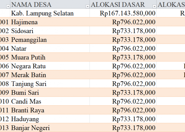 Tabel Rincian Dana Desa 2024 Kabupaten Lampung Selatan, Lampung: Ini Lengkapnya