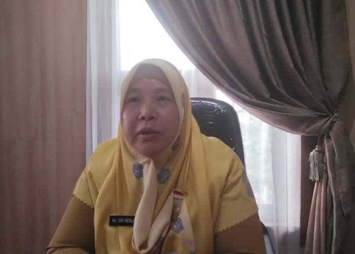 Replanting Sawit 3.500 Hektare di Bengkulu Ditargetkan 2026, Tersebar di Lima Kabupaten