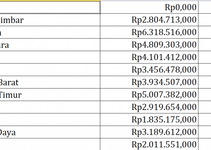 Bantuan Operasional Keluarga Berencana Maluku Rp40,3 Miliar, Berikut Rincian per Daerah