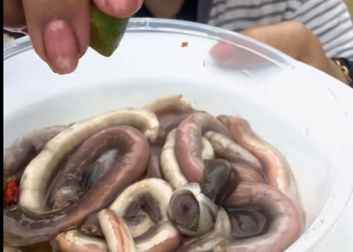 Tembiluk Makanan Khas Kalimantan yang Viral, Ternyata Bukan Cacing!