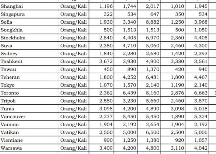 Tiket Pulang Dinas Luar Negeri Pemerintah Bisa Tembus Rp107 Juta, Ini Daftarnya