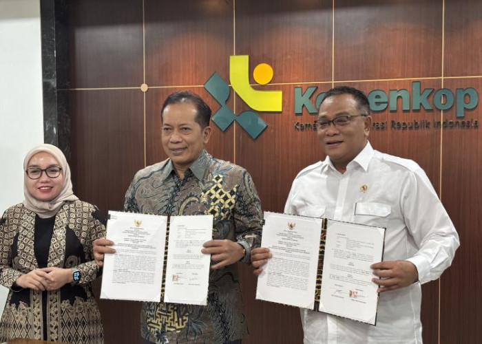 Koperasi Didorong Masuk Bisnis Perdagangan Karbon, Potensi Ekonomi Baru Dibuka