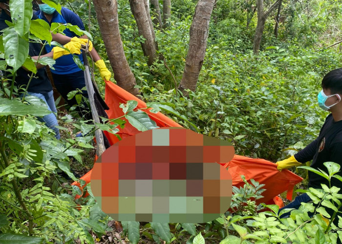 Diduga Pelaku Penganiayaan, Pria di Bengkulu Ditemukan Tak Bernyawa di Pohon Jengkol