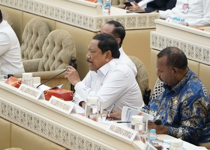 Rapat Dengar Pendapat DPR RI, Mian Desak Penanganan Serius Pendangkalan Alur Pulau Baai