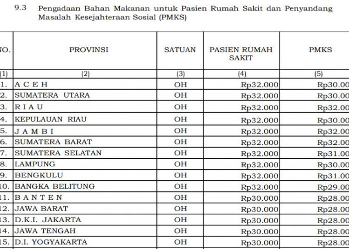 PMK 32/2025 Tetapkan Standar Biaya Makanan 2026, Ini Besaran untuk Bengkulu