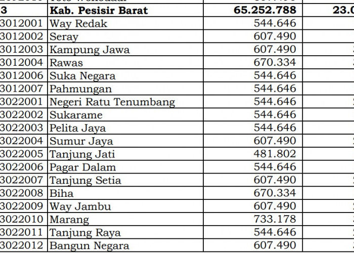 Bagaimana Rincian Dana Desa 2024 Pesisir Barat, Lampung? Cek Jawabannya di Sini