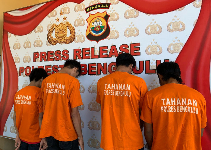 Empat Pelaku Narkoba Diciduk di Bengkulu, Polisi Amankan Ratusan Gram Ganja dan Bibit Siap Tanam