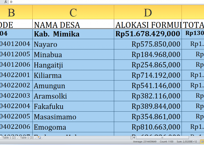 Rincian Lengkap Dana Desa 2025: Mimika Provinsi Papua Tengah Dapat Jatah Rp130,1 Miliar!